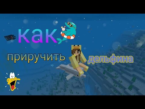 Как приручить дельфина в Minecraft pe 1.5