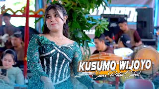 Download lagu KUSUMO WIJOYO - Cover Putri Cebret SUPRA NADA || BAP AUDIO - live Gunungkusan mp3
