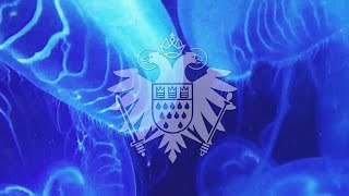 The Orb - Wireless (Leandro Fresco Mix)