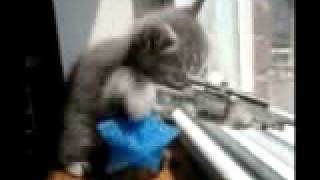 I know it&#39;s coming someday Longwave