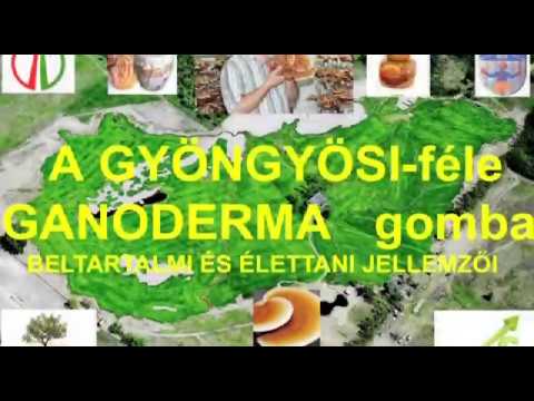, title : 'Prof. Dr. Dinya Zoltán elődása a Ganoderma gombáról'