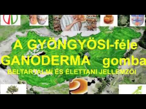 Emberi papillomavírus kezelése ayurvedában A hólyag neuroendokrin rákja