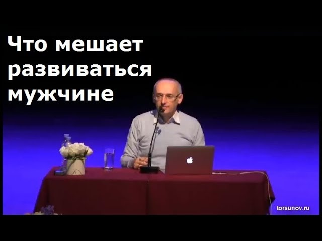 Торсунов О.Г. Что мешает развиваться мужчине Торсунов О.Г. Что мешает развиваться мужчине
