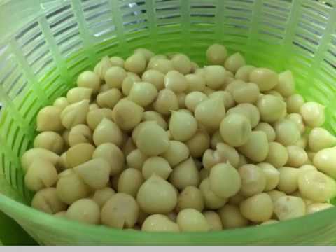 ความอ่อนแอไฮโดรเจนเปอร์ออกไซด์ ค้อน VC ของ ธ อร์