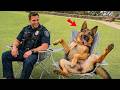 When Police Dogs Forget Their Job 😁 Funniest Dogs Video