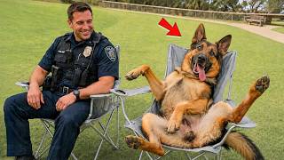 When Police Dogs Forget Their Job 😁 Funniest Dogs Video