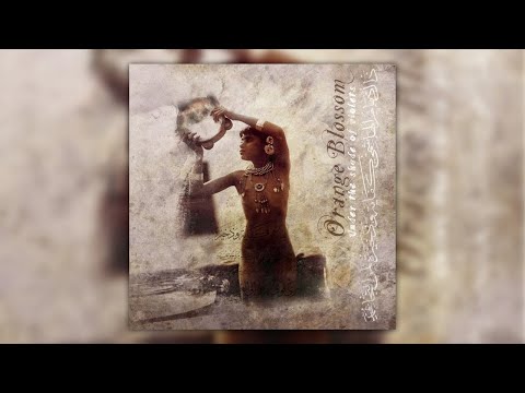 Orange Blossom - Good Bye Kô