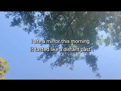 Poem 284 - The Taste of Mirrors