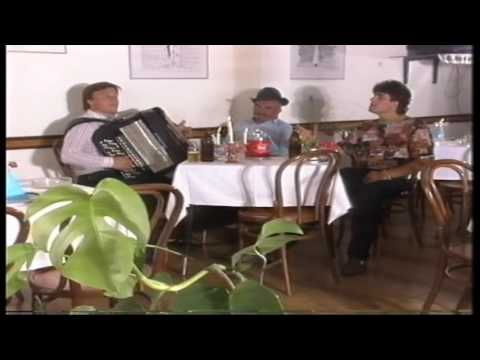 Vlaska Pesma - Zlatko Pantic Tata Al Meu