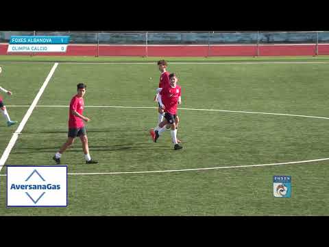highlights FOXES vs OLIMPIA CALCIO