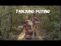 Petualangan Di Taman Nasional Tanjung Puting
