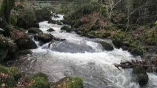 preview picture of video 'Kennall Vale, Ponsanooth, Cornwall'