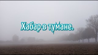 Хабар в тумане .