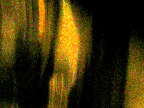 Suicide silence @ No Sleep Til Auckland 2010