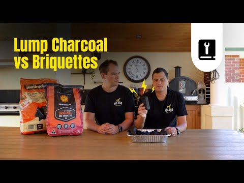 Lump Charcoal vs Briquettes: Which is Better for BBQ? 🔥 | Big Dog Spices