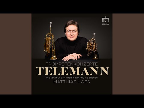 Concerto No. 1 in D Major, TWV 51:D7: I. Adagio