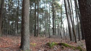 The Hush Now - I'm Always Broke In December