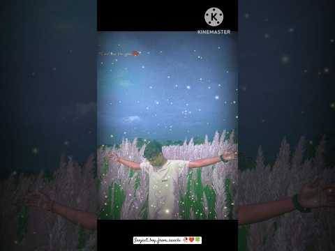 New Trending post on social media #tending #music ❤️🍀