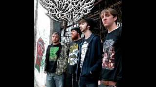 Download lagu My top 10 favorite slamming brutal death metal bands mp3 Download lagu My top 10 favorite slamming brutal death metal bands mp3