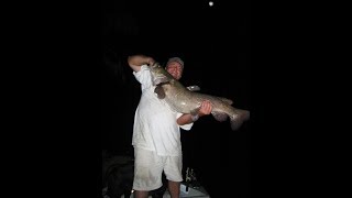 preview picture of video '45 Pound Flathead Catfish Catch and Release'