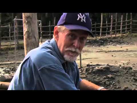 Andamans - Jewels of the Sea