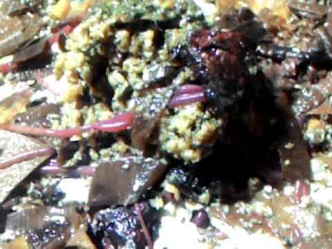 African Nightcrawlers vs Coconuts