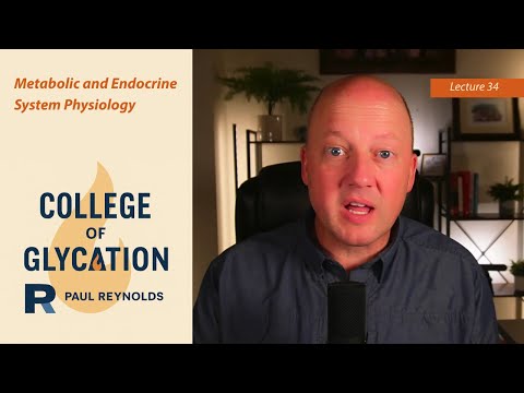 34: Metabolic and Endocrine System Physiology with Dr. Paul Reynolds
