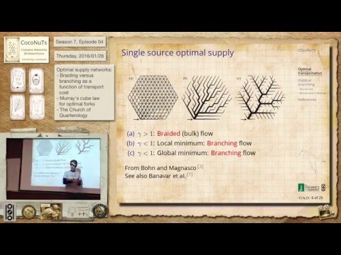 S7E04: Optimal forks and a Truthicide Investigation