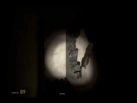 Half-Life 2 Mod - Duality