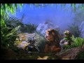 Muppets On ABC Wizard Of OZ Lost