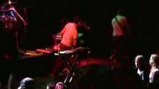 Tub Ring - Habitat (live)