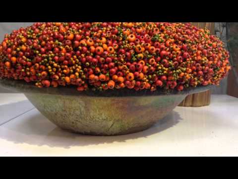 Flower Expo @ Mobach pottery