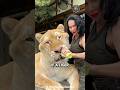 Why Ligers CAN T SURVIVE In The Wild