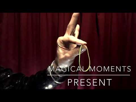 Mark Mayer Magician - The Wedding vendor Collective