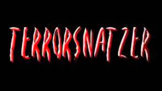 terrorsnatzer fastcore part 1