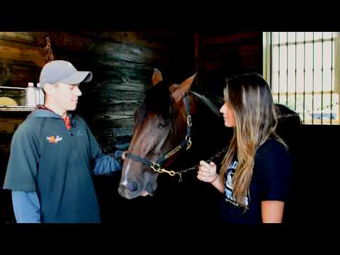 Venerate - Hambo contender 2021