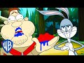 Looney Tunes Bugs Bunny Gets Revenge WB Kids