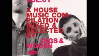Digs & Woosh - DiY Vol 1 - 'A House Music Compilation'
