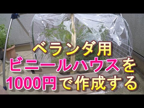 園芸 設備の整った小さな温室