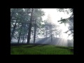 One to one - in the morning light (Laurent Wolf ...