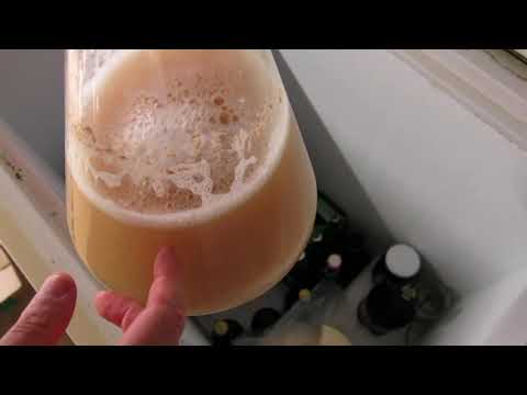 HBW #95 Testing the S-189 yeast