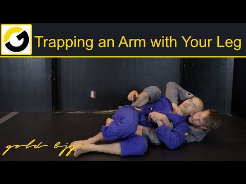 The Arm Trap - Gold BJJ Advanced Back Attacks Instructional