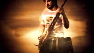 Milocovik - Bitter Plum