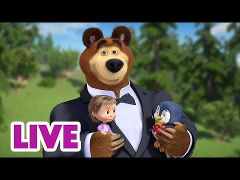 🔴 LIVE 🐻👧 Masha y el Oso 🤭✨ Historia increible🎬 Masha and the Bear
