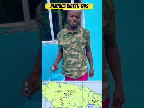 Jamaican Most Expensive Painter 🇯🇲💰😂