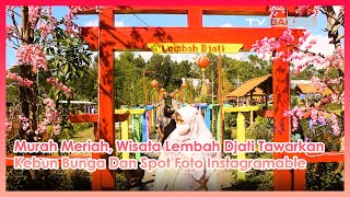 Murah Meriah, Wisata Lembah Djati Tawarkan Kebun Bunga dan Spot Foto Instagramable