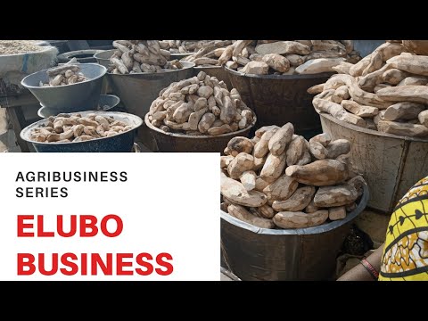 , title : 'How to start ELUBO BUSINESS in Nigeria / YAM FLOUR'