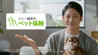 公式：ソニー損保のペット保険CM「ペット保険もソニー損保」篇_6秒