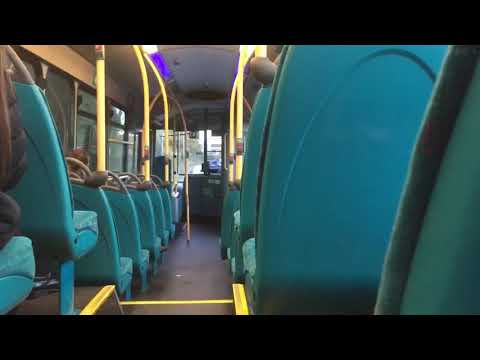 Limp Rattly Pulsar getting ragged