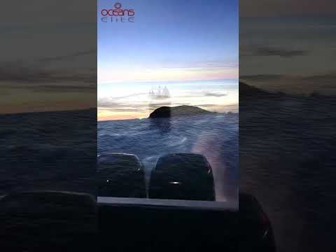 Speedboat Charter Koh Samui